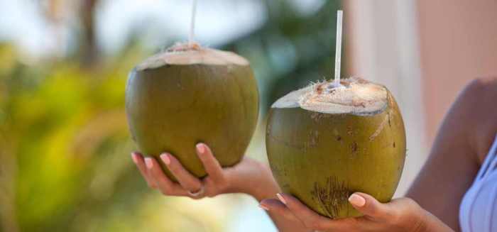 Minuman Sehat Berbahan Dasar Kelapa