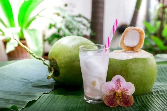 Kelapa muda jeruk minuman segar resep merah gula membuat kreasi buka puasa spesial aneka sehat cara bahan Kelapa muda jeruk minuman segar resep merah gula membuat kreasi buka puasa spesial aneka sehat cara bahan