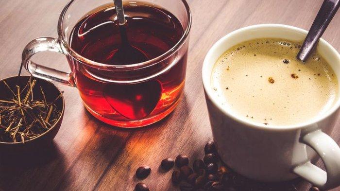 5 Minuman Sehat Pengganti Kopi di Pagi Hari yang Bebas Kafein, Ada Air ... Minuman Sehat Pengganti Kopi di Pagi Hari
