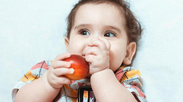 Menu Camilan Sehat Untuk Anak - Anak | Yayasan Sayap Ibu Camilan Sehat Anti Ribet untuk Anak-anak