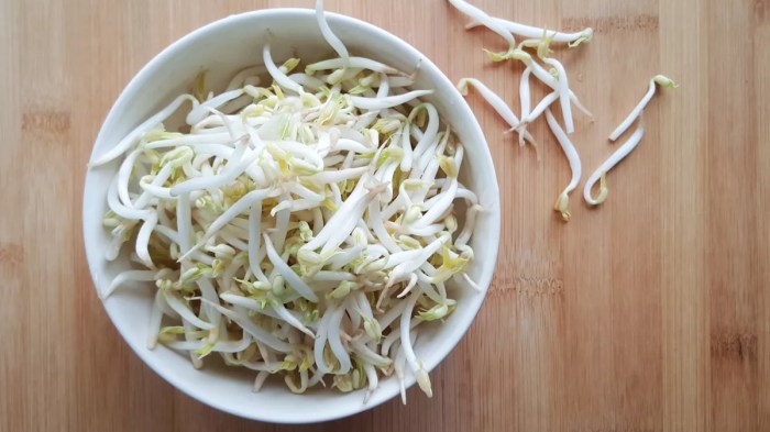 Superfood Lokal Indonesia yang Jarang Diketahui