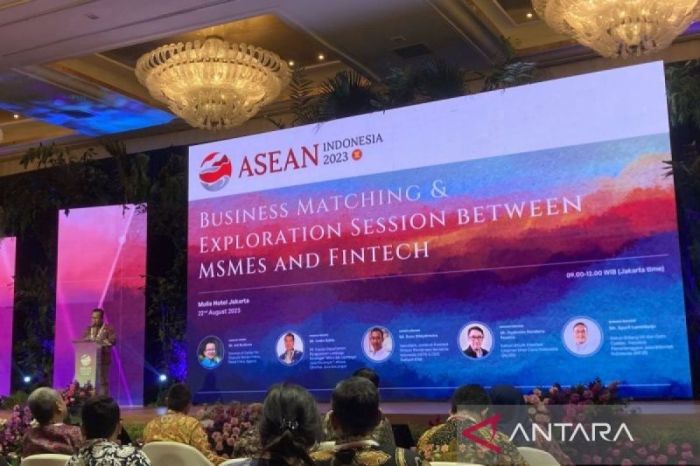 Pemerintah Perluas Akses Pembiayaan untuk UMKM