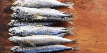 Resep Pindang Ikan Patin Khas Palembang Asam Pedas Gurih Penggugah Selera
