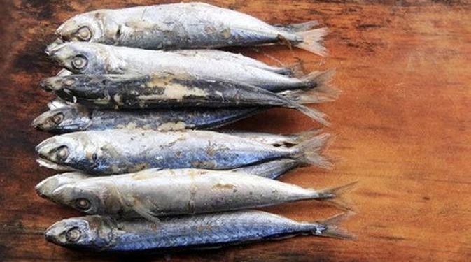 Resep Pindang Ikan Patin Khas Palembang Asam Pedas Gurih Penggugah Selera