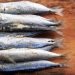 Resep Pindang Ikan Patin Khas Palembang Asam Pedas Gurih Penggugah Selera