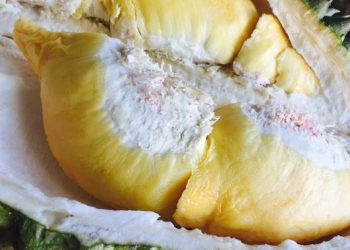 Ragam Buah Segar Thailand Favorit Masyarakat Indonesia dari Longan Sampai Durian