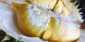 Ragam Buah Segar Thailand Favorit Masyarakat Indonesia dari Longan Sampai Durian