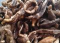 Menikmati Keripik Teripang Renyah, Camilan Laut yang Jadi Primadona di Gresik