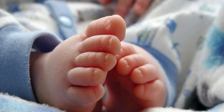 Evakuasi 11 Bayi oleh Polisi dari Rumah Bidan di Sleman, 3 Dilarikan ke Rumah Sakit