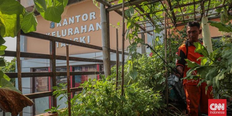 Kelurahan Tangki Ubah Atap Kantor Menjadi Lumbung Pangan