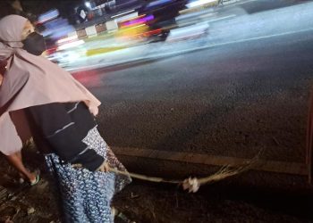 Penyapu Koin Jembatan Kali Sewo Indramayu Tewas Tertabrak Kontainer