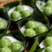 Resep Kue Putri Mandi Isi Kelapa yang Lembut dan Manis Gurih Bikin Nagih