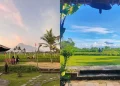 10 Cafe dengan Pemandangan Merapi di Jogja 2026 yang Sangat Nyaman