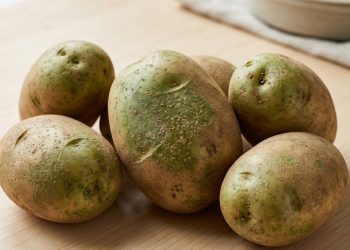 Mengapa Kentang Hijau Sebaiknya Dihindari? Ini Alasan Ilmiah yang Perlu Diketahui