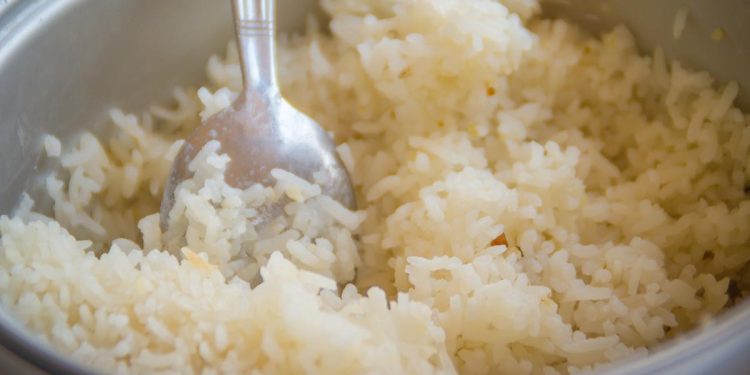 10 Cara Menyimpan Nasi agar Tahan Lama Tanpa Bau dan Berair