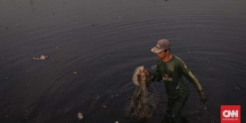 Sungai Ciujung Serang Diduga Tercemar Berwarna Hitam dan Mengeluarkan Bau Menyengat