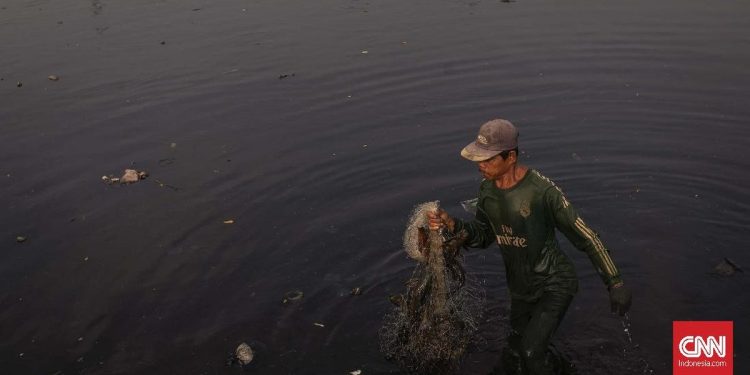 Sungai Ciujung Serang Diduga Tercemar Berwarna Hitam dan Mengeluarkan Bau Menyengat