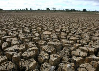 2.245 Warga di Jabar dan Jateng Terdampak Kekeringan Menurut BNPB