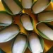 Resep Kue Tetu Lembut dan Legit Khas Sulawesi yang Mudah Dibuat di Rumah