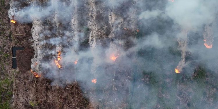 Catatan BPBD Terdapat 306 Kasus Karhutla di Sumsel hingga Juli 2026