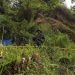 Penutupan Tambang Emas Ilegal di Hutan Produksi Terbatas Sulut, 2 Tersangka Ditangkap