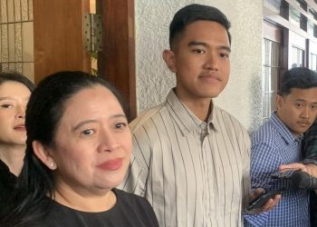 Dapil Neraka Kandang Banteng Yang Terganggu Kaesang