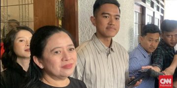 Dapil Neraka Kandang Banteng Yang Terganggu Kaesang