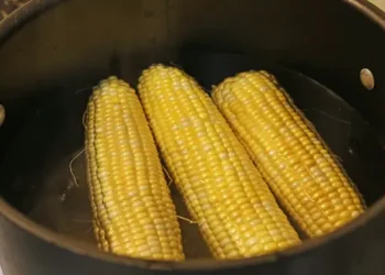 Merebus Jagung Agar Rasa Manisnya Tahan Lama, Simak Triknya