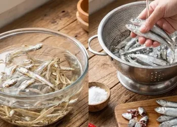 Mengatasi Rasa Asin Berlebihan pada Teri, Coba 7 Tips Berikut Ini