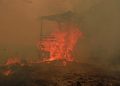 Catatan BPBD 936 Hektare Hutan dan Lahan Terbakar di Kalimantan Timur