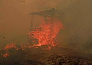 Catatan BPBD 936 Hektare Hutan dan Lahan Terbakar di Kalimantan Timur