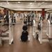 Fakta Pengusiran WNA Diduga Tentara Israel dari Gym di Bali