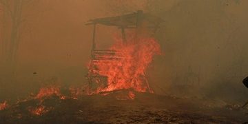 Catatan 936 Hektare Hutan dan Lahan Terbakar di Kalimantan Timur
