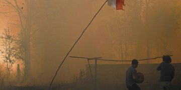 Biang Karhutla Kebun Sawit di Berau Jadi Tersangka Setelah Mengaku Disuruh