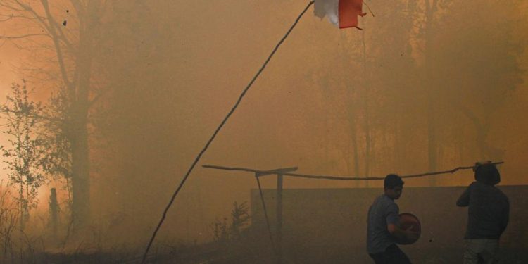 Biang Karhutla Kebun Sawit di Berau Jadi Tersangka Setelah Mengaku Disuruh