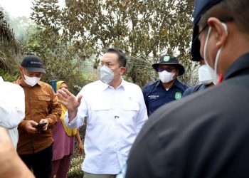 Wamen LH Ajak Swasta Bangun Sekat Kanal Cegah Karhutla di Kalimantan Barat
