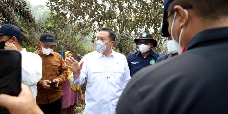Wamen LH Ajak Swasta Bangun Sekat Kanal Cegah Karhutla di Kalimantan Barat