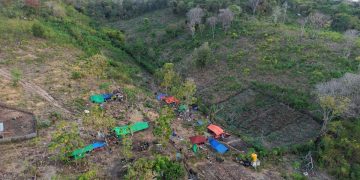 BMKG Catat 4258 Gempa Susulan di NTT Berpotensi Hingga 4 Minggu