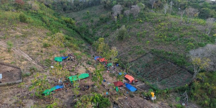 BMKG Catat 4258 Gempa Susulan di NTT Berpotensi Hingga 4 Minggu