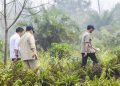 Prabowo Kunjungi Riau untuk Tinjau Penanganan Karhutla Sumatera