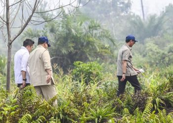 Prabowo Kunjungi Riau untuk Tinjau Penanganan Karhutla Sumatera