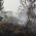 Kebakaran Lahan di Kulon Progo, Api Terjadi di Bendungan Kamijoro