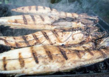 Resep Mudah Ikan Bakar dengan Teflon yang Praktis