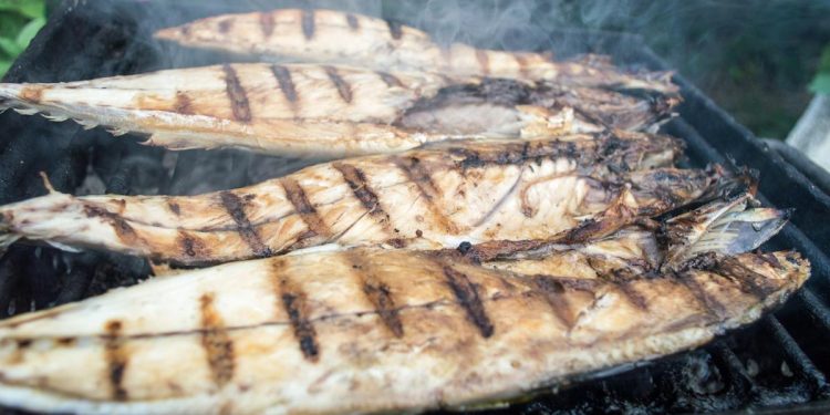 Resep Mudah Ikan Bakar dengan Teflon yang Praktis