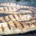 Resep Mudah Ikan Bakar dengan Teflon yang Praktis