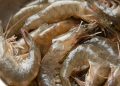 7 Cara Mengolah Udang Mentah agar Tidak Amis, Tetap Juicy dan Tidak Alot