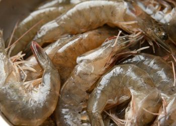 7 Cara Mengolah Udang Mentah agar Tidak Amis, Tetap Juicy dan Tidak Alot