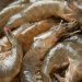 7 Cara Mengolah Udang Mentah agar Tidak Amis, Tetap Juicy dan Tidak Alot