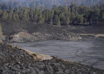 Karhutla Gunung Semeru Padam Hanguskan Tiga Ribu Tujuh Puluh Dua Hektare Lahan