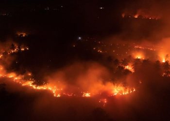 Kebakaran Meluas di Kawasan Cagar Alam Gunung Ijen